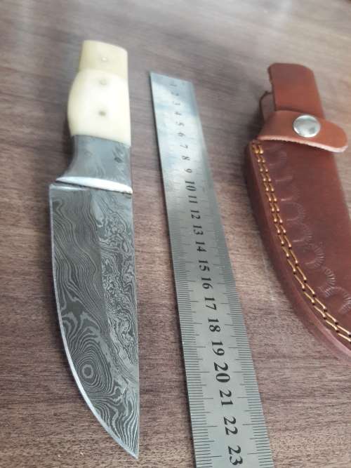 Handmade DAMASCUS Steel Hunting Knife, FULL TANG, Bull  Camel Bone handle w Damascus steel bolster