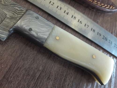 Handmade DAMASCUS Steel Hunting Knife, FULL TANG, Bull  Camel Bone handle w Damascus steel bolster