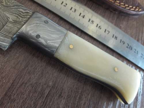 Handmade DAMASCUS Steel Hunting Knife, FULL TANG, Bull  Camel Bone handle w Damascus steel bolster