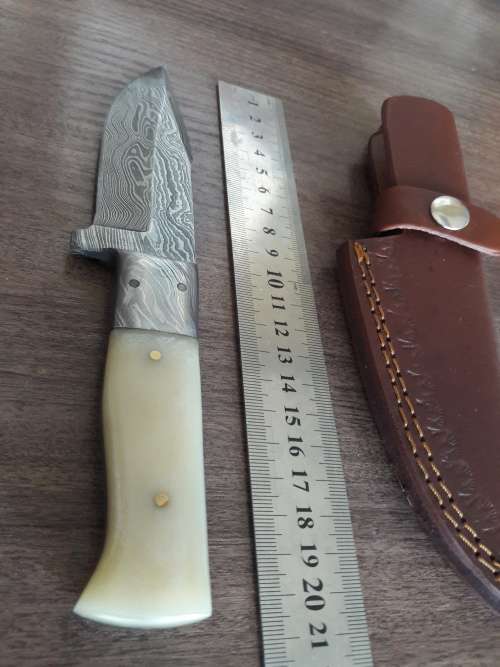 Handmade DAMASCUS Steel Hunting Knife, FULL TANG, Bull  Camel Bone handle w Damascus steel bolster
