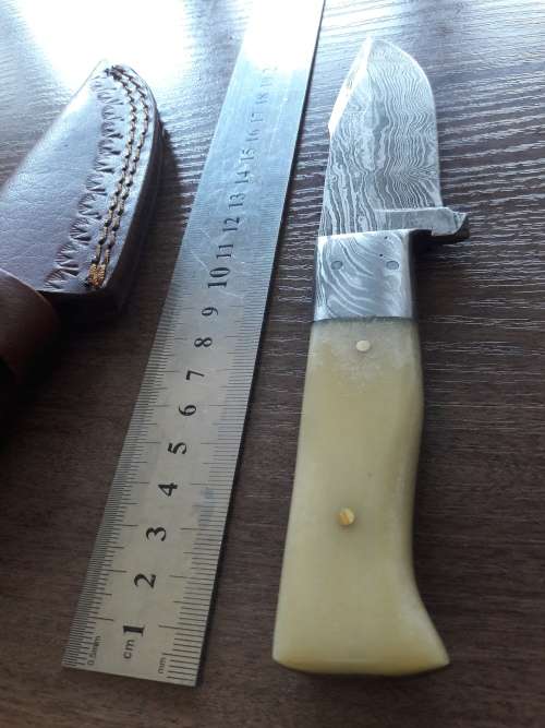 Handmade DAMASCUS Steel Hunting Knife, FULL TANG, Bull  Camel Bone handle w Damascus steel bolster