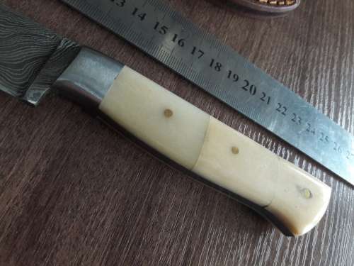 Handmade DAMASCUS Steel Hunting Knife, FULL TANG, Bull  Camel Bone handle scales.
