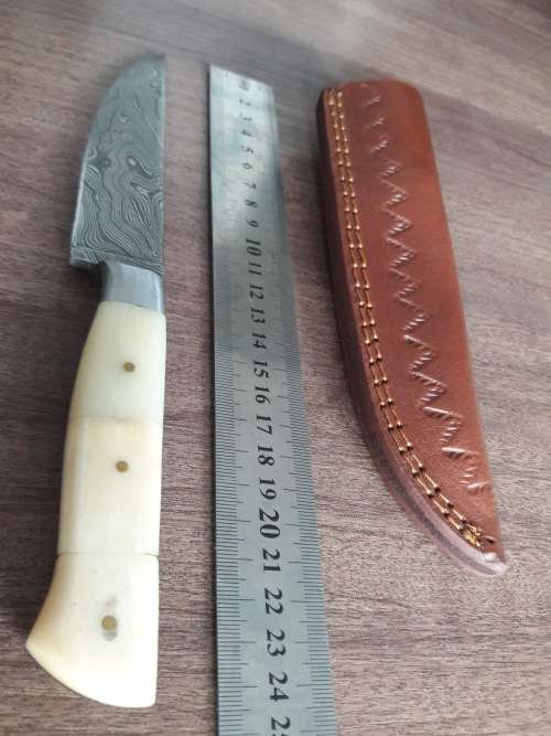 Handmade DAMASCUS Steel Hunting Knife, FULL TANG, Bull  Camel Bone handle scales.
