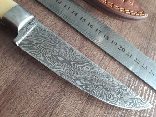 Handmade DAMASCUS Steel Hunting Knife, FULL TANG, Bull  Camel Bone handle scales.