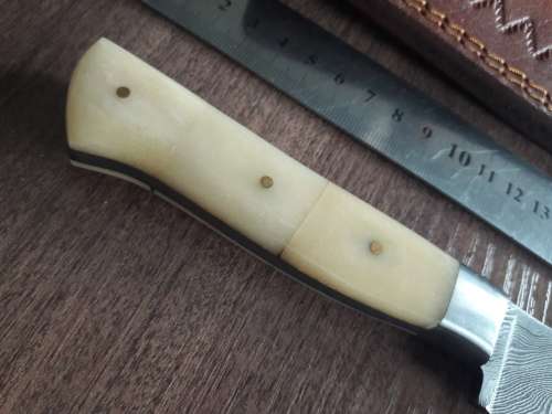 Handmade DAMASCUS Steel Hunting Knife, FULL TANG, Bull  Camel Bone handle scales.