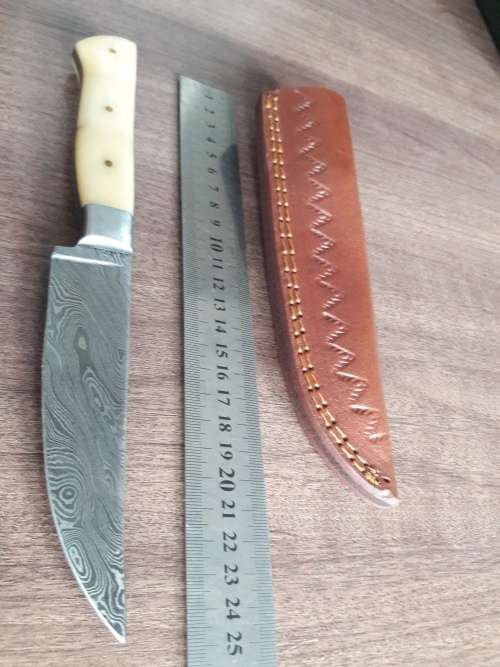 Handmade DAMASCUS Steel Hunting Knife, FULL TANG, Bull  Camel Bone handle scales.