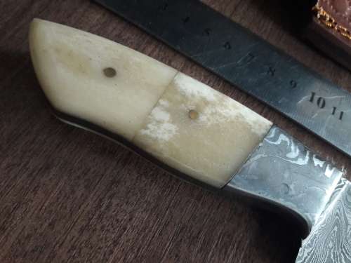 Handmade DAMASCUS Steel Hunting Knife, FULL TANG, Camel Bone handle w Damascus steel bolster