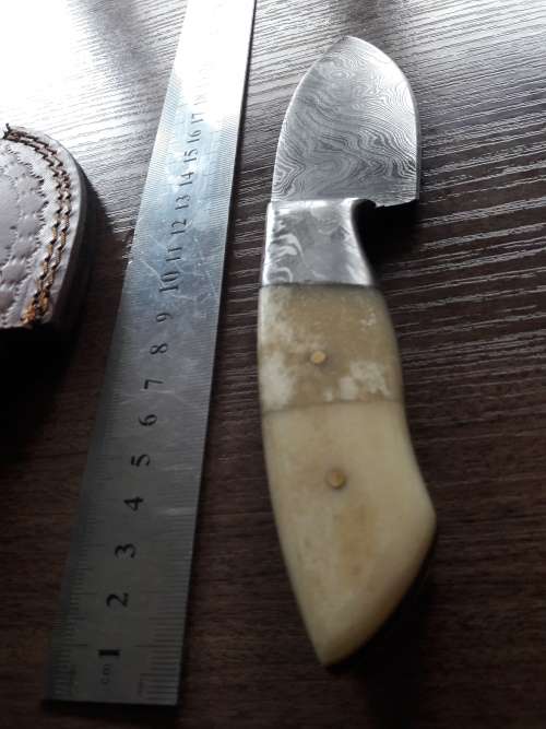 Handmade DAMASCUS Steel Hunting Knife, FULL TANG, Camel Bone handle w Damascus steel bolster