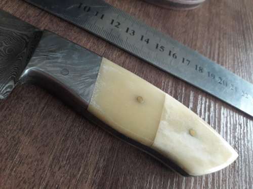 Handmade DAMASCUS Steel Hunting Knife, FULL TANG, Camel Bone handle w Damascus steel bolster