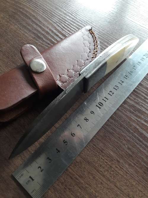 Handmade DAMASCUS Steel Hunting Knife, FULL TANG, Camel Bone handle w Damascus steel bolster