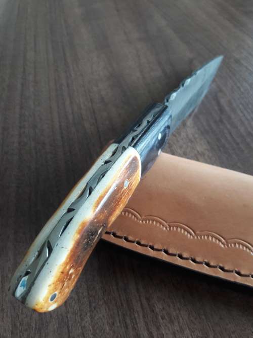 Handmade DAMASCUS Steel Hunting Knife, BURNT Camel Bone & Wooden Handle scales. GIFT TIME !!!!