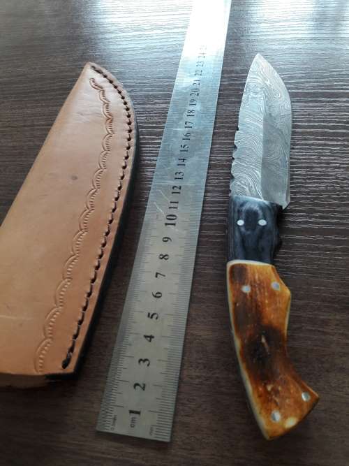 Handmade DAMASCUS Steel Hunting Knife, BURNT Camel Bone & Wooden Handle scales. GIFT TIME !!!!
