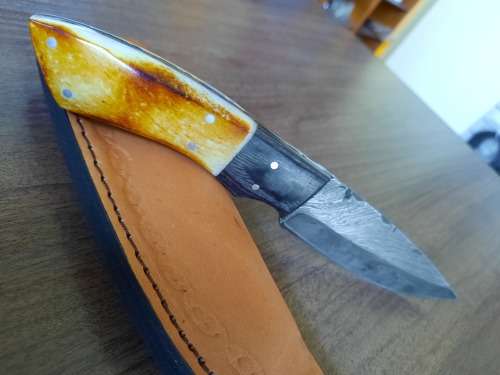 Handmade DAMASCUS Steel Hunting Knife, BURNT Camel Bone & Wooden Handle scales. GIFT TIME !!!!