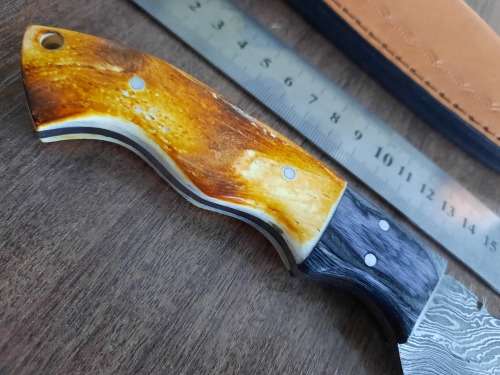 Handmade DAMASCUS Steel Hunting Knife, BURNT Camel Bone & Wooden Handle scales.