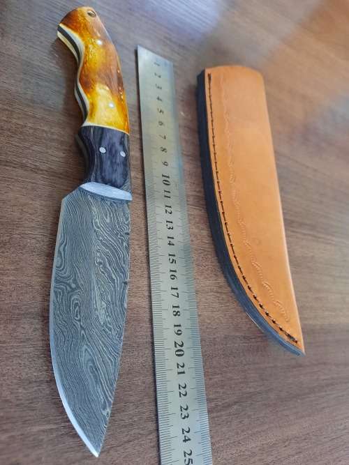 Handmade DAMASCUS Steel Hunting Knife, BURNT Camel Bone & Wooden Handle scales.
