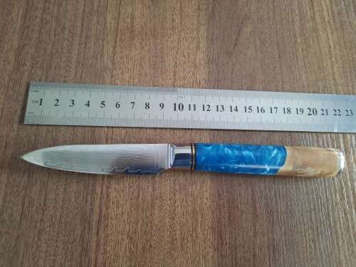 Damascus VG-10 Stainless Steel PAIRING knife, Exotic Burl & Epoxy handle.  RAZOR SHARP !!!!!