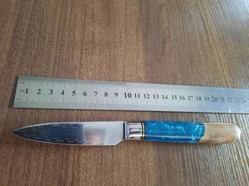 Damascus VG-10 Stainless Steel PAIRING knife, Exotic Burl & Epoxy handle.  RAZOR SHARP !!!!!