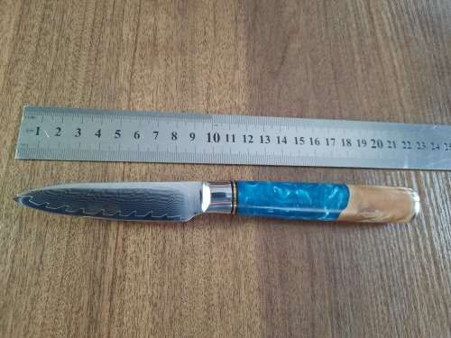 Damascus VG-10 Stainless Steel PAIRING knife, Exotic Burl & Epoxy handle.  RAZOR SHARP !!!!!