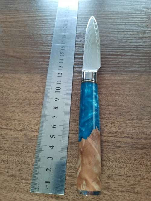 Damascus VG-10 Stainless Steel PAIRING knife, Exotic Burl & Epoxy handle.  RAZOR SHARP !!!!!