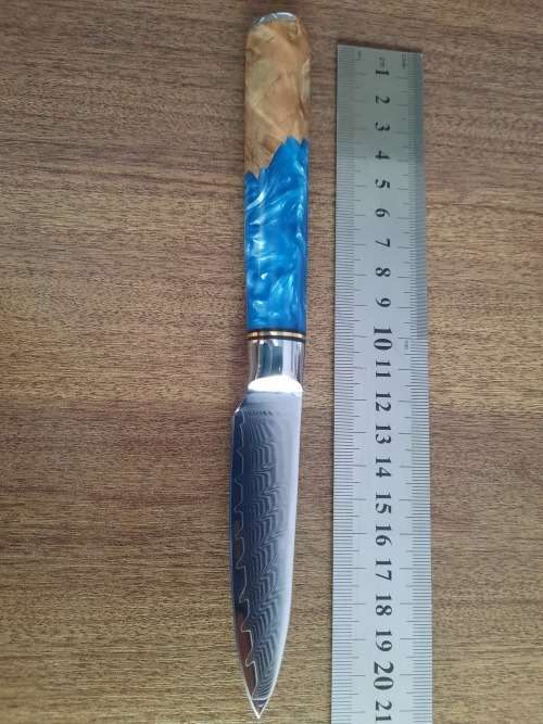 Damascus VG-10 Stainless Steel PAIRING knife, Exotic Burl & Epoxy handle.  RAZOR SHARP !!!!!