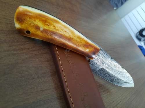 Handmade DAMASCUS Steel Hunting Knife, BURNT Camel Bone Handle scales.