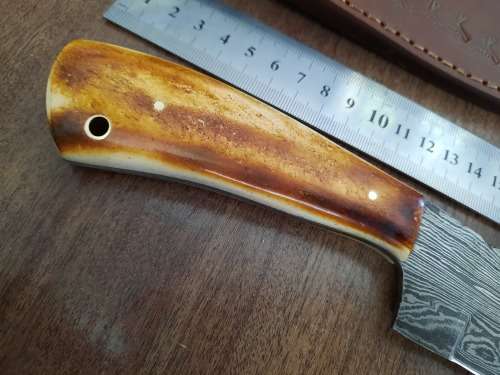 Handmade DAMASCUS Steel Hunting Knife, BURNT Camel Bone Handle scales.