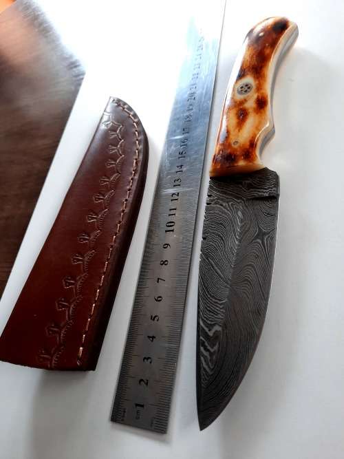 Handmade DAMASCUS Steel Hunting Knife, BURNT Camel Bone Handle scales.