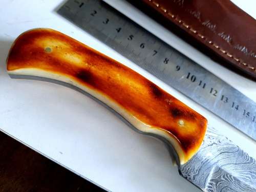 Handmade DAMASCUS Steel Hunting Knife, BURNT Camel Bone Handle scales.