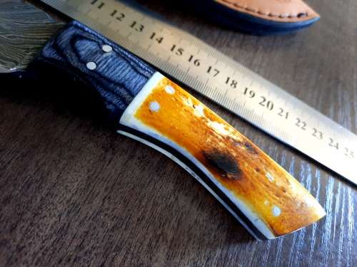 Handmade DAMASCUS Steel Hunting Knife, BURNT Camel Bone & Wooden Handle scales.