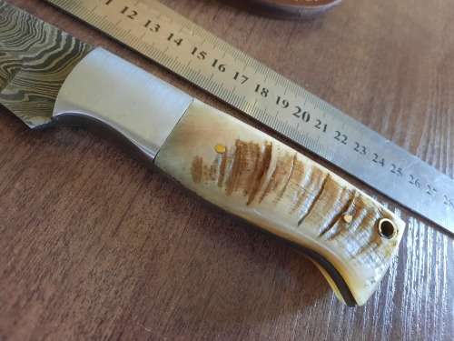 Handmade Damascus steel HUNTING  knife with RAM HORN handle scales. NEW STOCK!! !