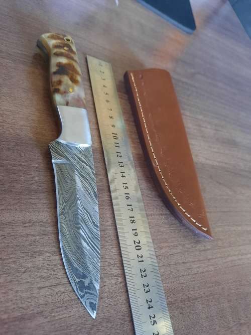 Handmade Damascus steel HUNTING  knife with RAM HORN handle scales. NEW STOCK!! !