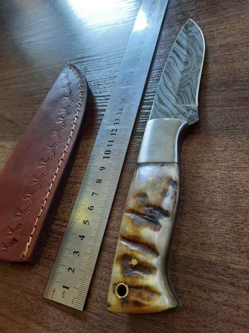 Handmade Damascus steel HUNTING  knife with RAM HORN handle scales. NEW STOCK!! !