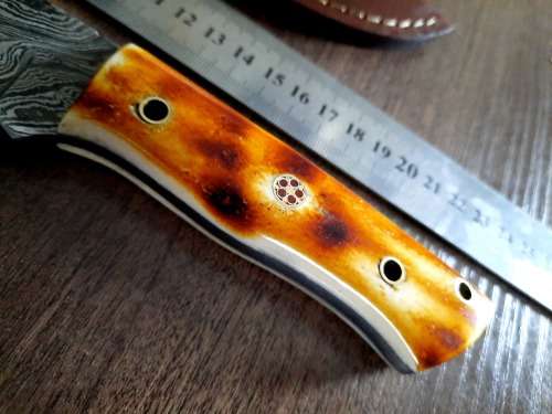 Handmade DAMASCUS Steel Hunting Knife, BURNT Camel Bone Handle scales.