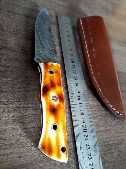 Handmade DAMASCUS Steel Hunting Knife, BURNT Camel Bone Handle scales.