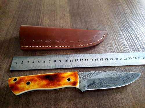 Handmade DAMASCUS Steel Hunting Knife, BURNT Camel Bone Handle scales.