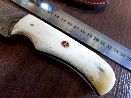 Handmade Damascus steel HUNTING  knife with Camel Bone handle scales. Free Survival Bracelet !!!!