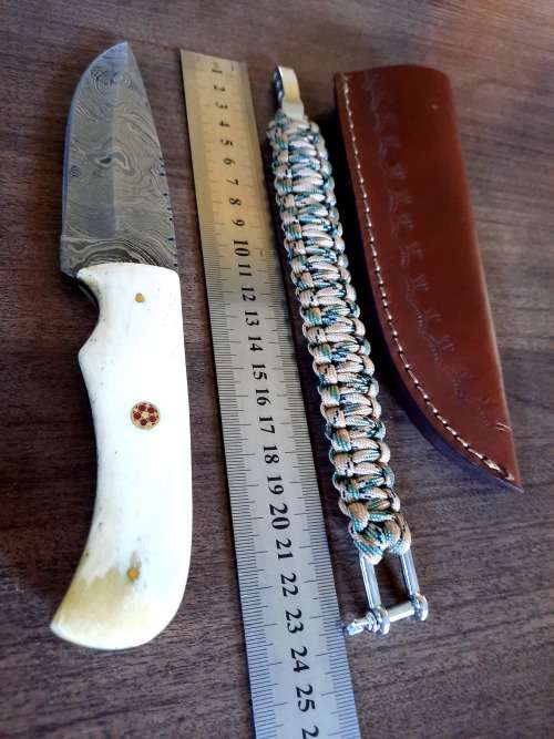 Handmade Damascus steel HUNTING  knife with Camel Bone handle scales. Free Survival Bracelet !!!!