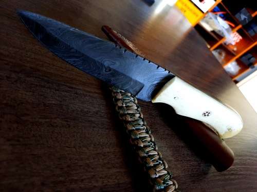 Handmade Damascus steel HUNTING  knife with Camel Bone handle scales. Free Survival Bracelet !!!!