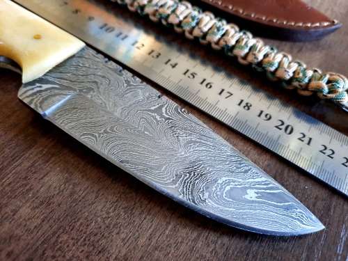 Handmade Damascus steel HUNTING  knife with Camel Bone handle scales. Free Survival Bracelet !!!!