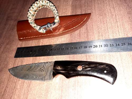 Handmade Damascus steel HUNTING  knife with BULL HORN handle scales. One handle scale repaired !!!!