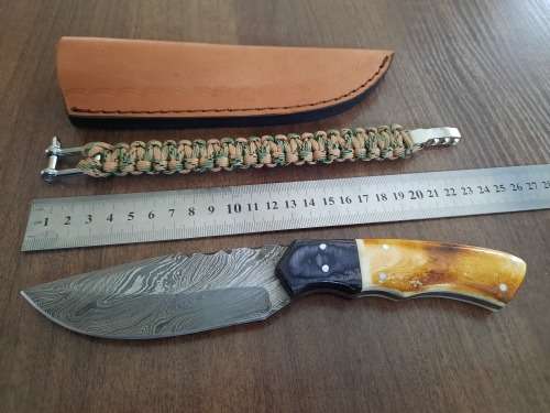 Handmade Damascus steel HUNTING  knife with Wood & Burnt Camel Bone handle scales. FREE BRACELET