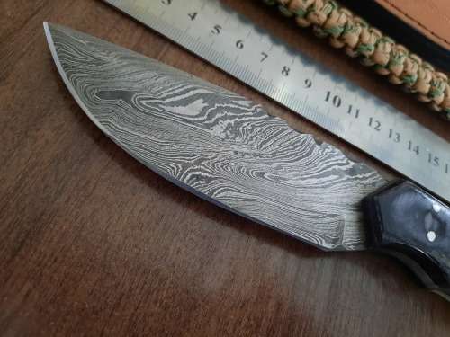 Handmade Damascus steel HUNTING  knife with Wood & Burnt Camel Bone handle scales. FREE BRACELET