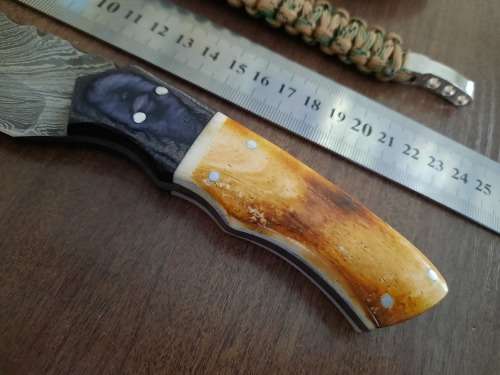 Handmade Damascus steel HUNTING  knife with Wood & Burnt Camel Bone handle scales. FREE BRACELET