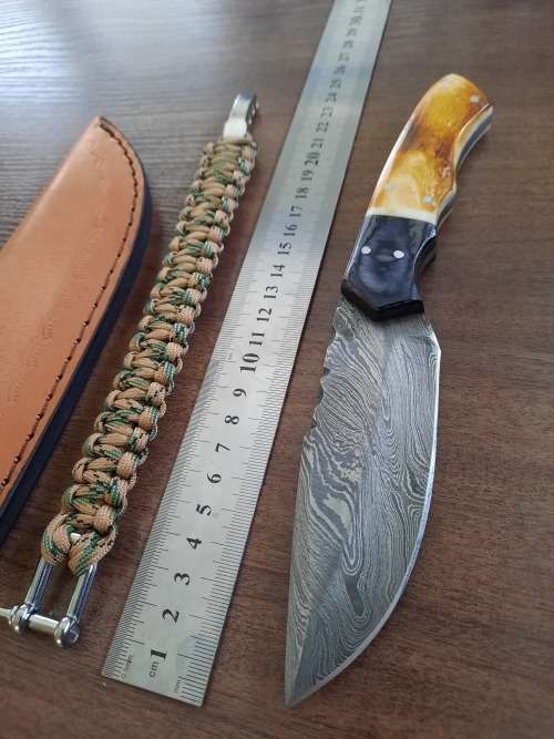 Handmade Damascus steel HUNTING  knife with Wood & Burnt Camel Bone handle scales. FREE BRACELET