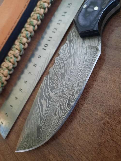 Handmade Damascus steel HUNTING  knife with Wood & Burnt Camel Bone handle scales. FREE BRACELET