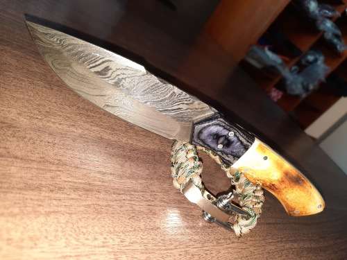 Handmade Damascus steel HUNTING  knife with Wood & Burnt Camel Bone handle scales. FREE BRACELET