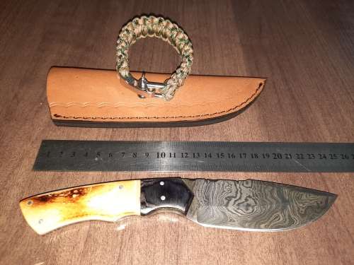 Handmade Damascus steel HUNTING  knife with Wood & Burnt Camel Bone handle scales. FREE BRACELET