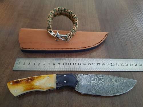 Handmade Damascus steel HUNTING  knife with Wood & Burnt Camel Bone handle scales. FREE BRACELET