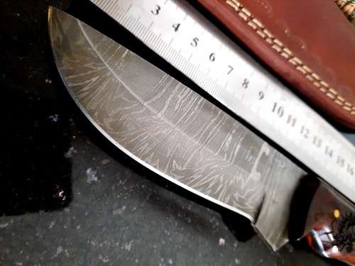 Handmade Damascus steel HUNTING Knife with Wooden handle scales w an eagle engraved. Free Bracelet.