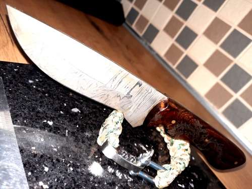 Handmade Damascus steel HUNTING Knife with Wooden handle scales w an eagle engraved. Free Bracelet.